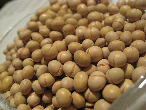 Cách bảo quản hạt đậu nành (đậu tương)